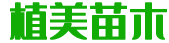 广东植美苗木网
