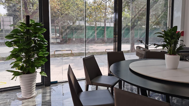 餐厅绿植摆放 大绿萝柱