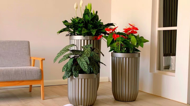 大堂大厅绿植组合摆放